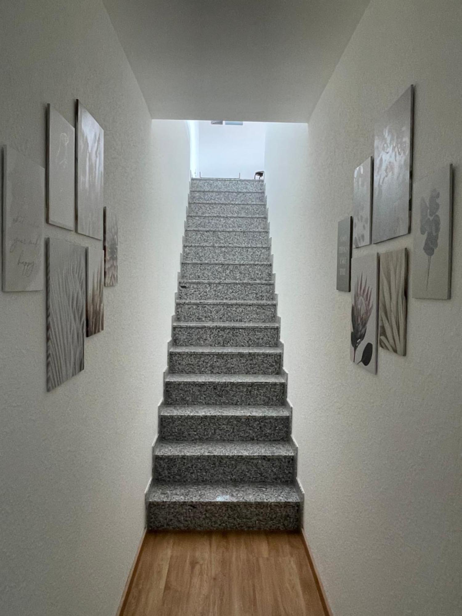 Mamam'S Apartment カッペル・グラーフェンハウゼン エクステリア 写真